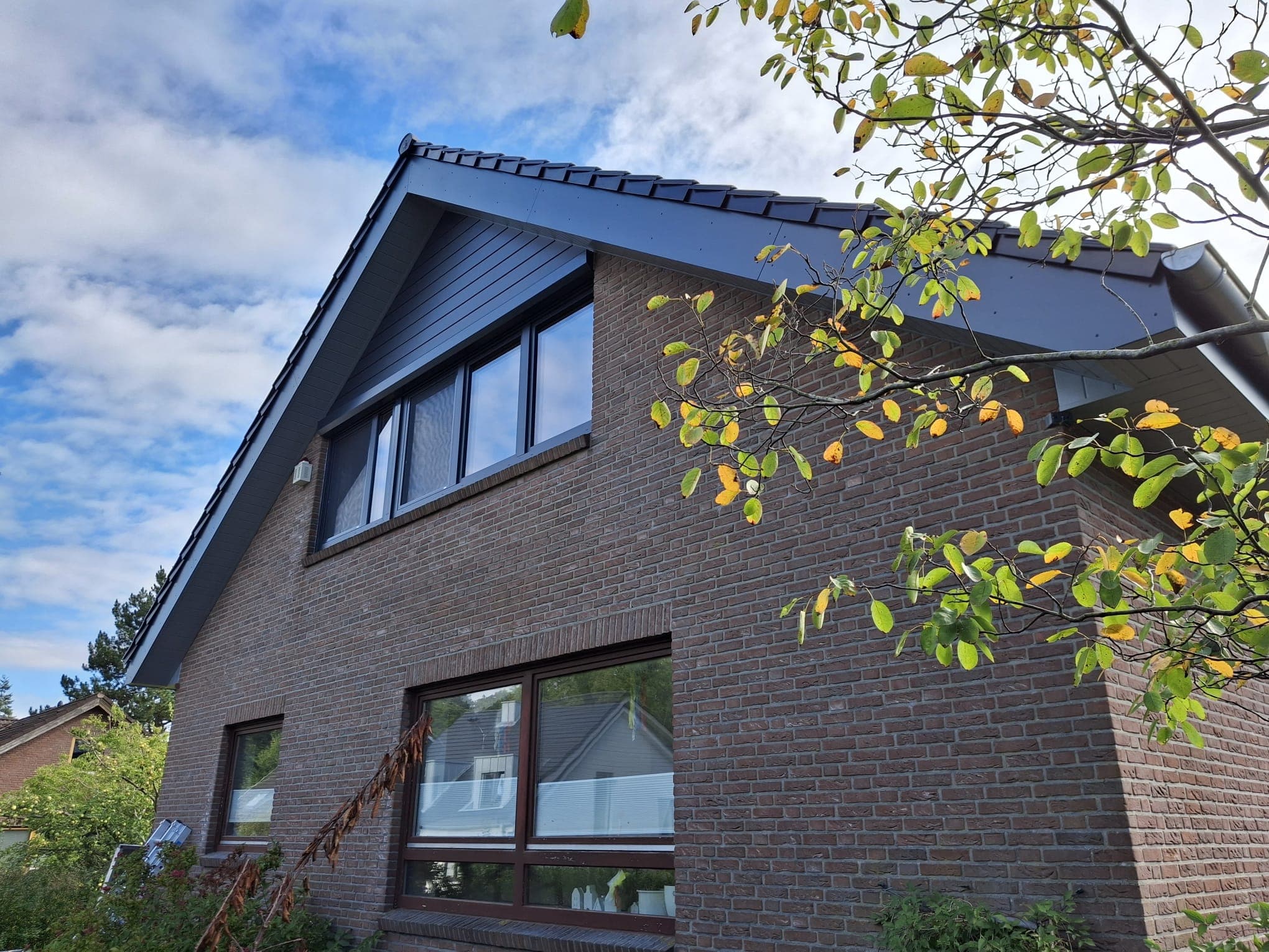 Giebelverkleidung "Mammut" anthrazit. 